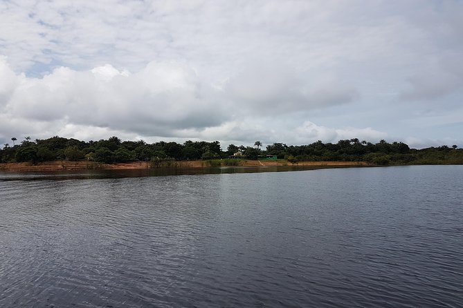 3 Days Amazon Jungle Adventure Tour - Tour Activities