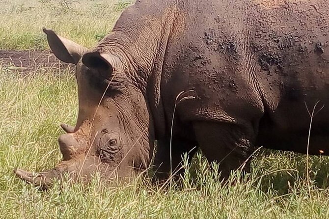 3 Days Amboseli Flying Safari Package - Booking and Pricing