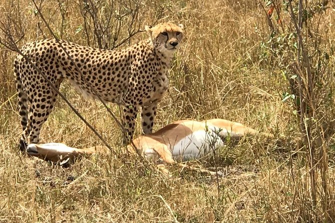 3 Days Amboseli, Land of Kilimanjaro - Itinerary Overview