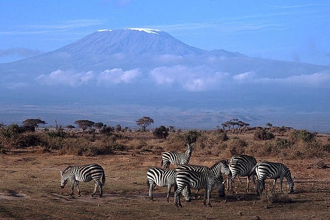 3 Days Amboseli, Land of Kilimanjaro - Cultural Immersion