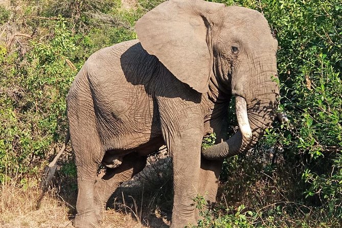 3 Days Amboseli National Park - Good To Know