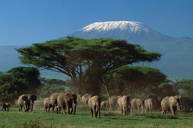 3 Days Amboseli National Park Safari - Accommodation Details