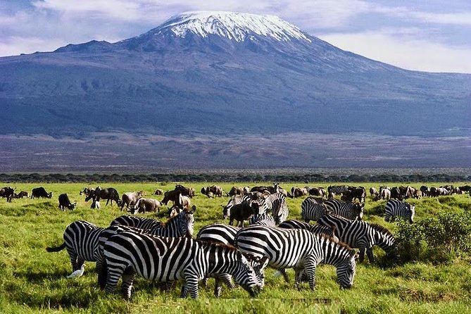 3 Days Amboseli National Park Safari - Customer Reviews and Ratings