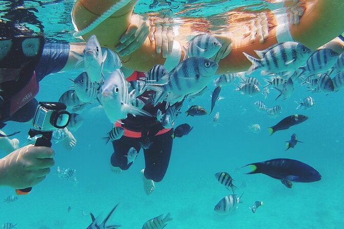3 Days and 2 Nights Tioman Tour Package From Singapore - Common Questions