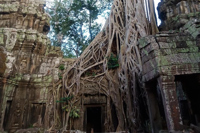 3 Days Angkor Temple Tours Floating Village From Dawn To Dusk - The Sum Up