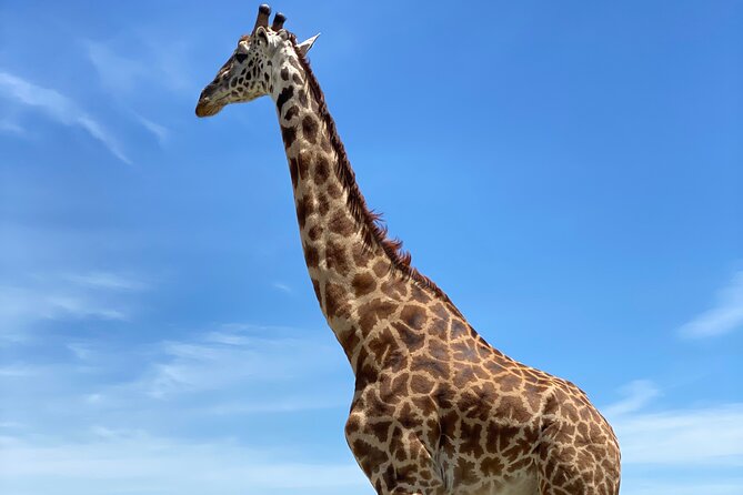 3-Days Arusha National Park-Tarangire Park - Ngorongoro Crater - Meeting Point and Start Time