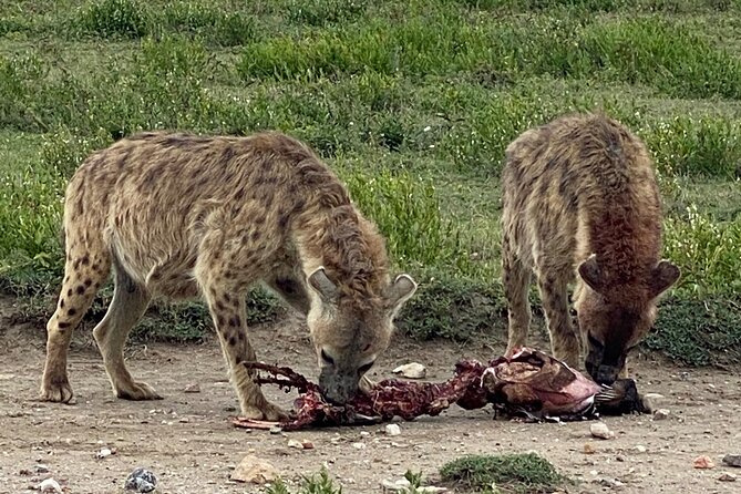 3-Days Arusha National Park-Tarangire Park - Ngorongoro Crater - Additional Tour Information