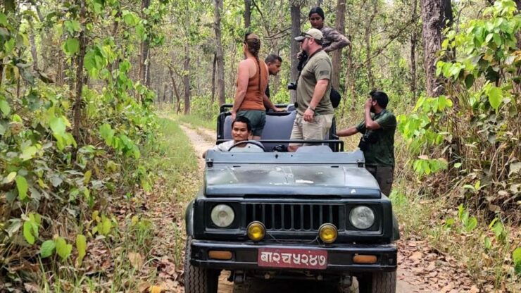 3 Days Bardiya Jungle Safari Tour From Kathmandu - Experience Highlights of the Bardiya Jungle Safari Tour