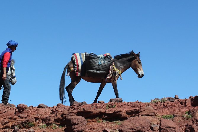 3 Days Berber Villages Hike (Atlas Mountains) - Common Questions