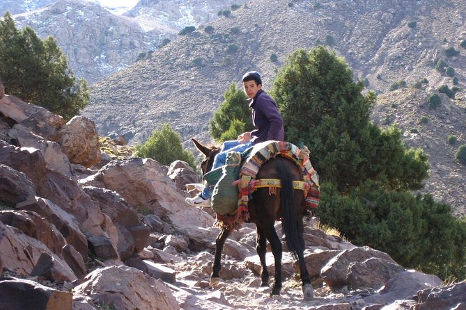 3 Days Berber Villages Hike (Atlas Mountains) - The Sum Up