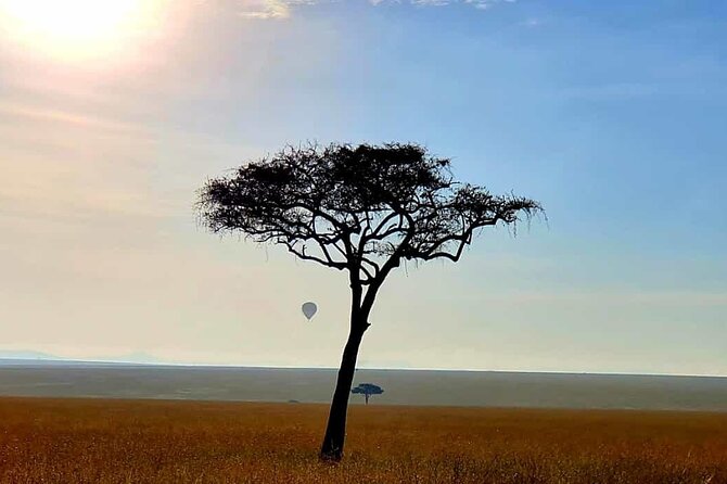 3 Days Best of Maasai Mara Budget Safari - The Sum Up