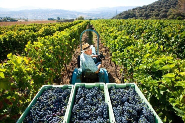 3 Days Best of Tuscany Private Tour - Tour Highlights
