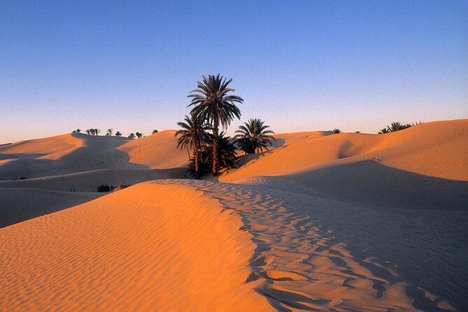 3 Days Between Bedouin Tent and Berber Chalet in the Tunisian Desert - Good To Know
