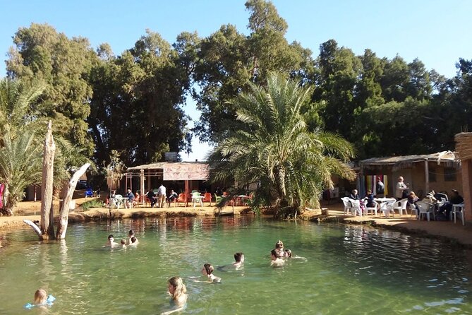 3 Days Between Bedouin Tent and Berber Chalet in the Tunisian Desert - Price and Booking Options