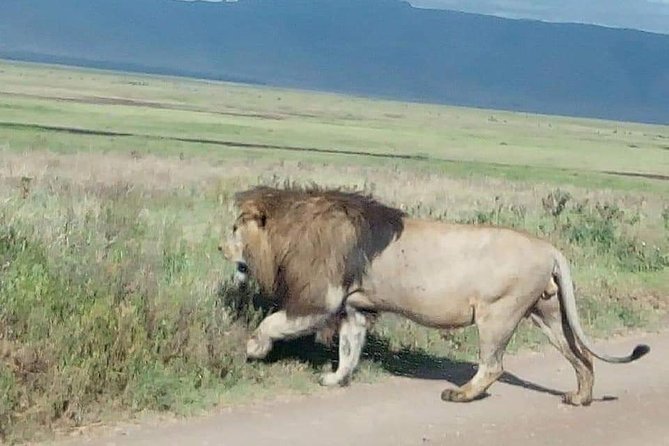 3 Days Budget Mid Range Safari Tour Tanzania - Itinerary Details