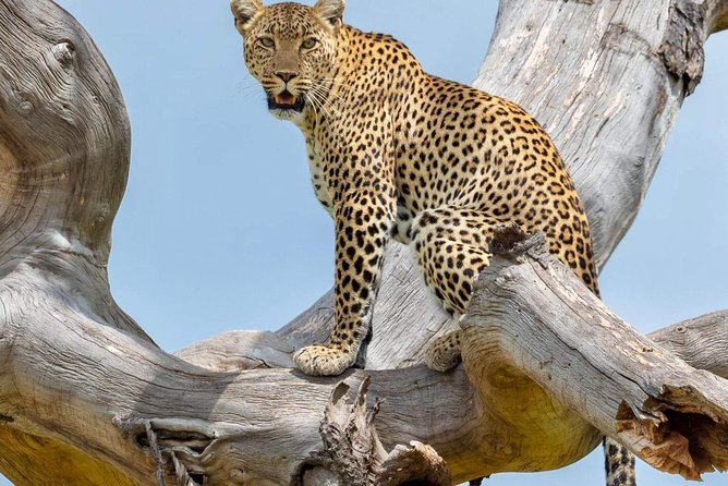 3 Days Budget Mid Range Safari Tour Tanzania - Additional Information