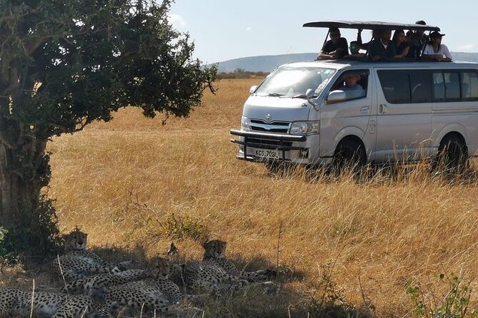 3 Days Budget Tour to Maasai Mara With Safari Van - Good To Know