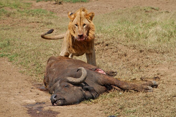 3 Days Budget Tour to Maasai Mara With Safari Van - Park Fees Breakdown