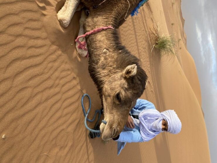 3 Days Camel Trekking in Morocco Desert Tour - Tour Highlights