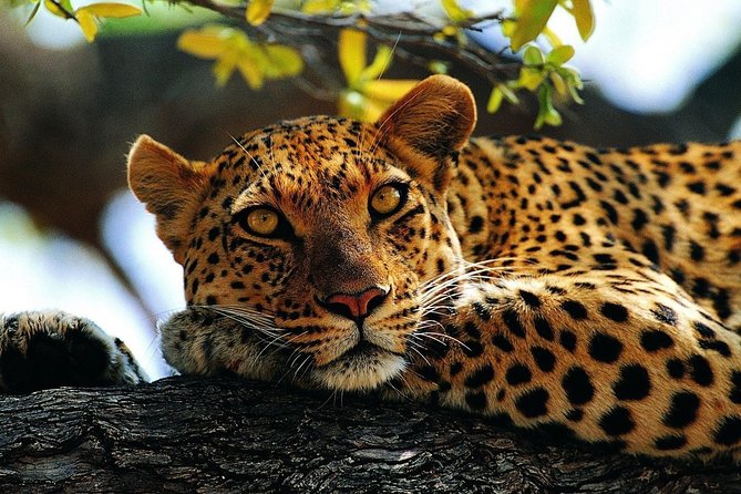 3 Days Camping Safari - Booking and Cancellation Policies