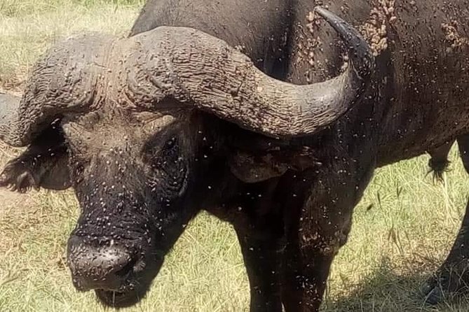 3 Days Camping Safari in Amboseli National Park, Kenya - Booking and Cancellation Policy