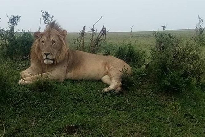 3 Days Camping Safari in Amboseli National Park, Kenya - Frequently Asked Questions