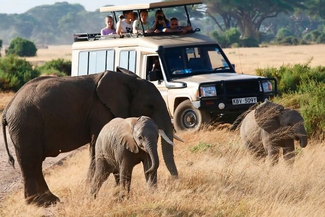3 Days Camping Tour to Maasai Mara With 4x4 Landcruiser Jeep - Accommodation Details