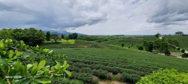 3 Days Chiang Mai and Chiang Rai Explore. - Natural Attractions