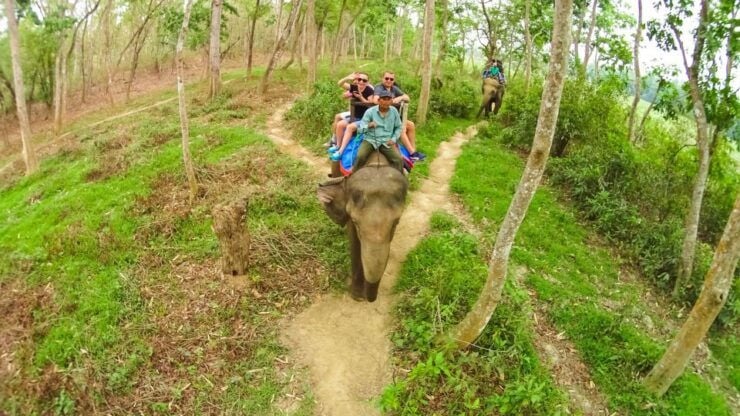 3 Days Chitwan Jungle Safari - All Inclusive Package - Activity Highlights