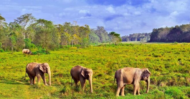 3 Days Chitwan Jungle Tour With Meals - Kathmandu & Pokhara - Transportation Details