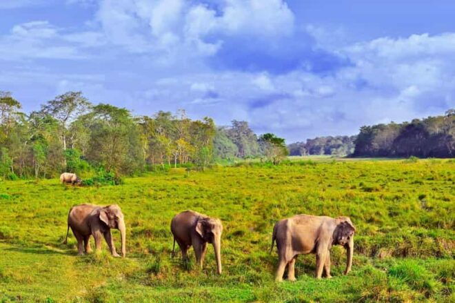 3 Days Chitwan Jungle Tour With Meals - Kathmandu & Pokhara - Inclusions and Exclusions