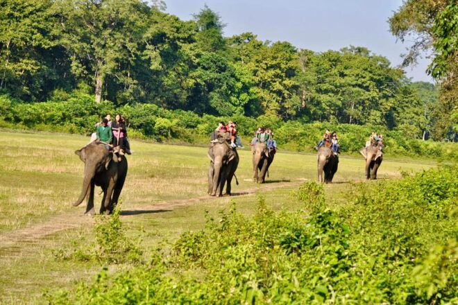 3 Days Chitwan Jungle Tour With Meals - Kathmandu & Pokhara - Accommodation Options