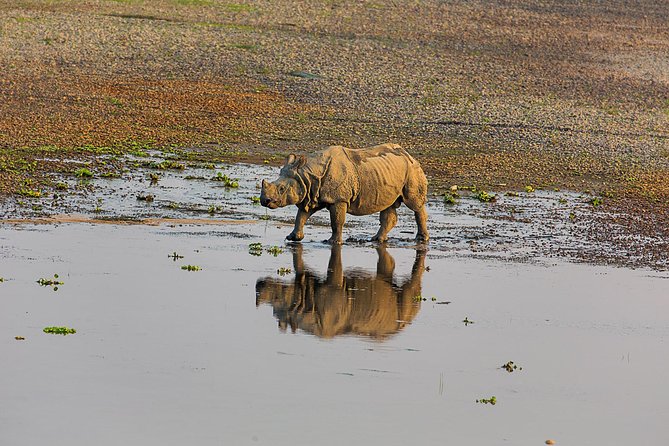 3-Days Chitwan National Park Tour From Kathmandu by Private Vehicle - Inclusions and Accommodation