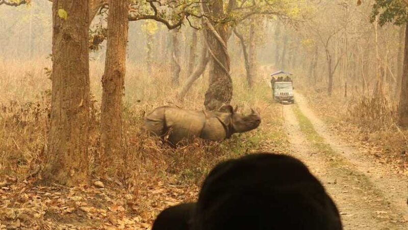 3 Days Chitwan Safari - Practical Tips for the Trip