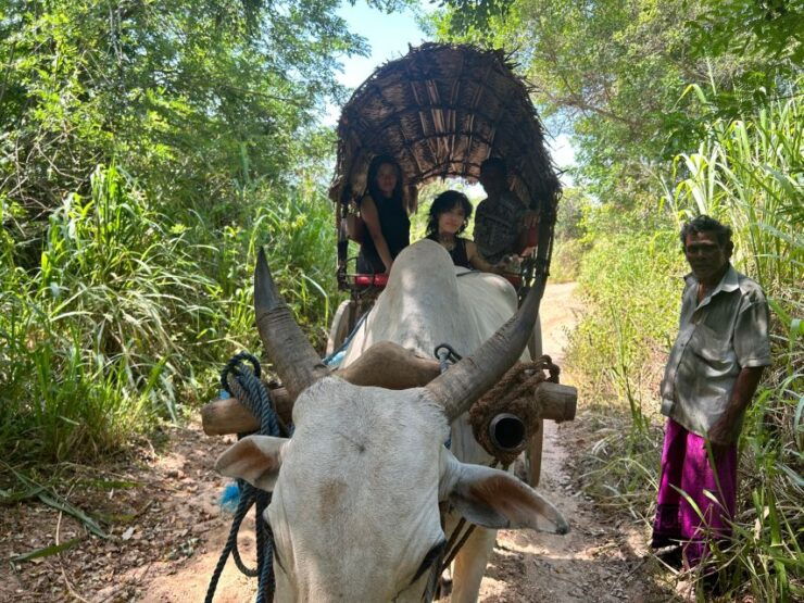 3 Days Cultural Triangle Tour - Itinerary Details