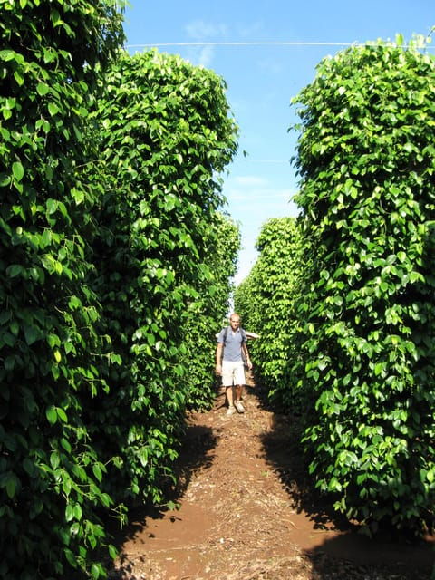 3 Days Dalat to Nha Trang via Central Highland Tour - Good To Know