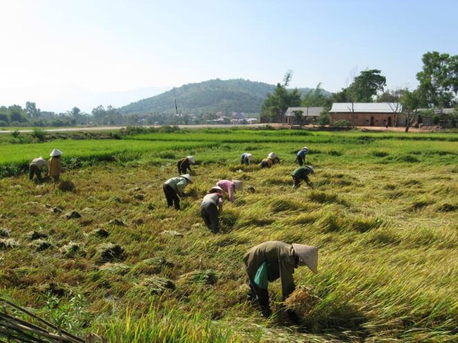 3 Days Dalat to Nha Trang via Central Highland Tour - Day 1: Dalat to Lak Lake