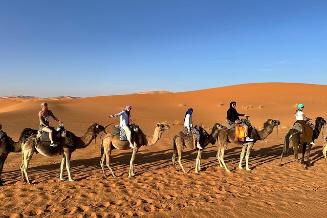 3 Days Deep Merzouga Desert Tour From Marrakech - Tour Highlights