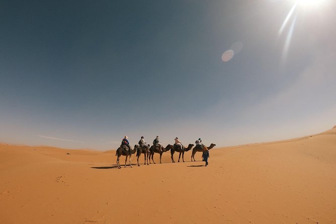 3 Days Desert Circuit Via Fez From Marrakech - Accommodations and Meals
