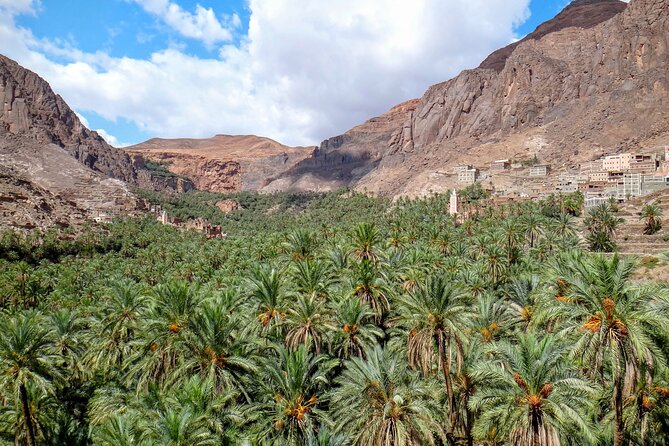 3-Days Desert Tour From Marrakech - Pickup and Departure