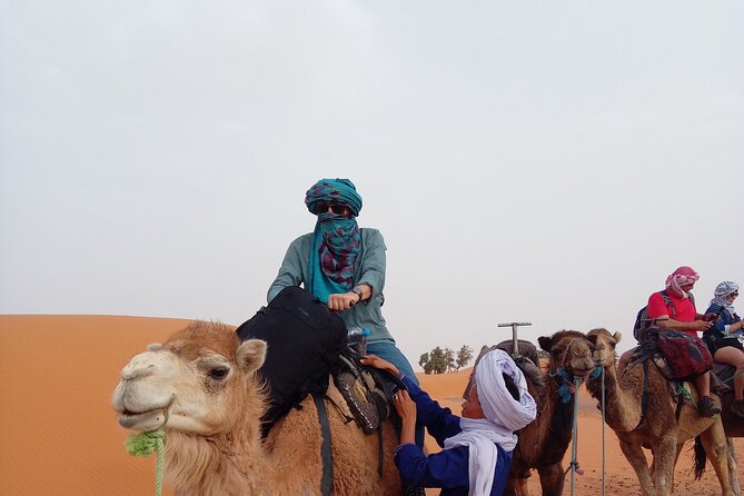 3 Days Desert Tour From Marrakech to Fes - Health and Safety Guidelines