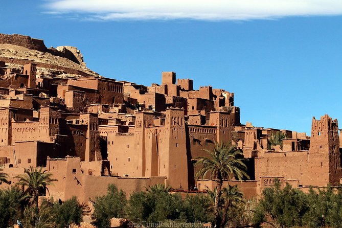 3 Days Desert Tour From Marrakech To Merzouga And Fes - Traveler Experiences