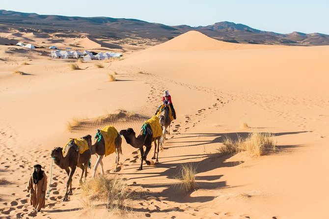 3 Days Desert Tour From Marrakech To Merzouga Dunes & Camel - Reviews and Ratings
