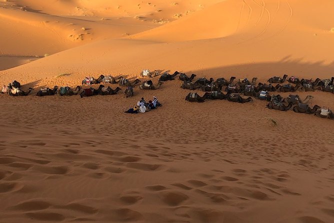 3 Days Desert Tour From Marrakech To Merzouga Dunes & Camel Trek - Additional Information
