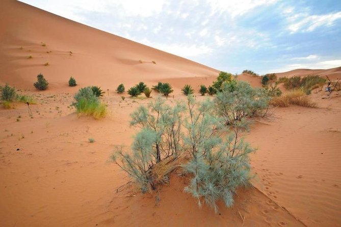 3 Days Desert Tour From Marrakech to Merzouga Dunes - Pricing and Booking Details