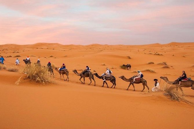 3 Days Desert Tour From Marrakech to Merzouga Including Camel Ride and Kasbahs - Tour Inclusions