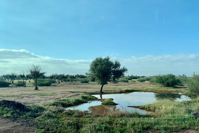 3 Days Desert Tour From Tangier - Tour Inclusions and Pricing