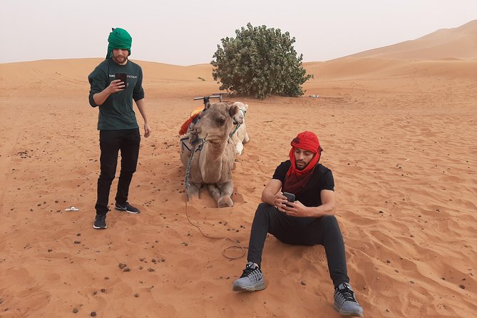 3 Days Desert Tour to Fez via Merzouga Sahara and Camel Ride From Marrakech - Activities and Experiences