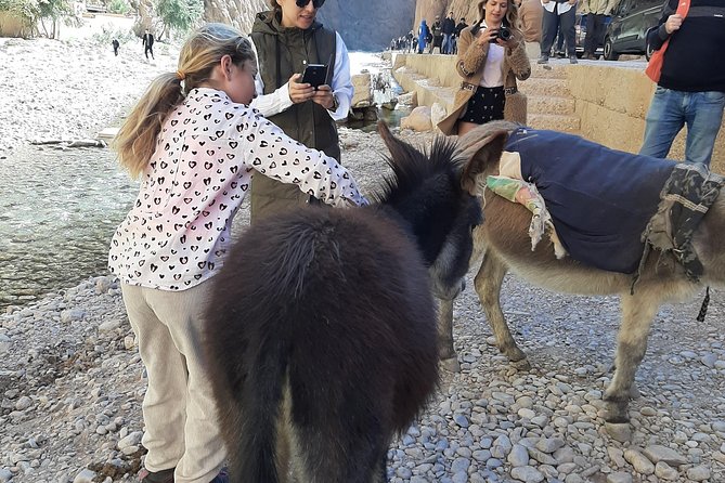 3 Days Desert Tour to Fez via Merzouga Sahara and Camel Ride From Marrakech - Important Booking Information