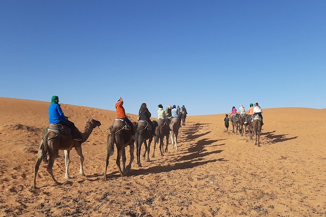 3 Days Desert Tour to Fez via Merzouga Sahara and Camel Ride From Marrakech - Pickup and Meeting Instructions